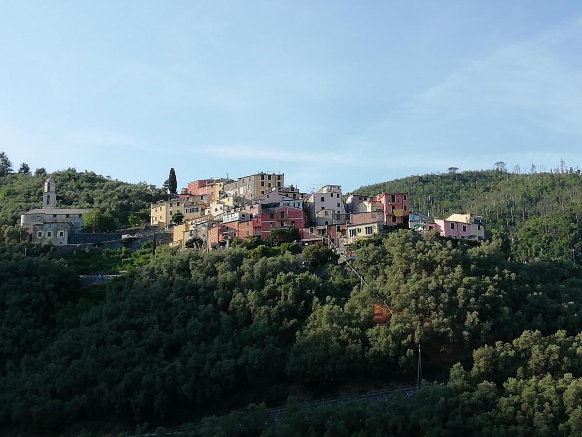 Casa Lorenzo Sulle Colline Di Levanto E Vicino Alle Cinqueterre Lt-0620 Exterior foto